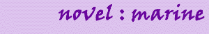 novel info