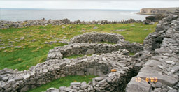 Stone Pens within the fort
