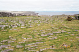 Limestone Crags