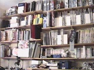 Shelves of manga