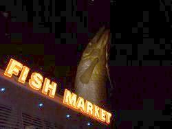 a big fish